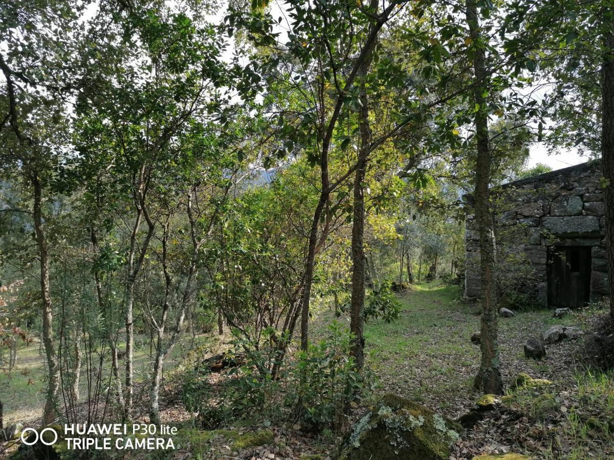فيلا Casa Douro Terrace Baião المظهر الخارجي الصورة