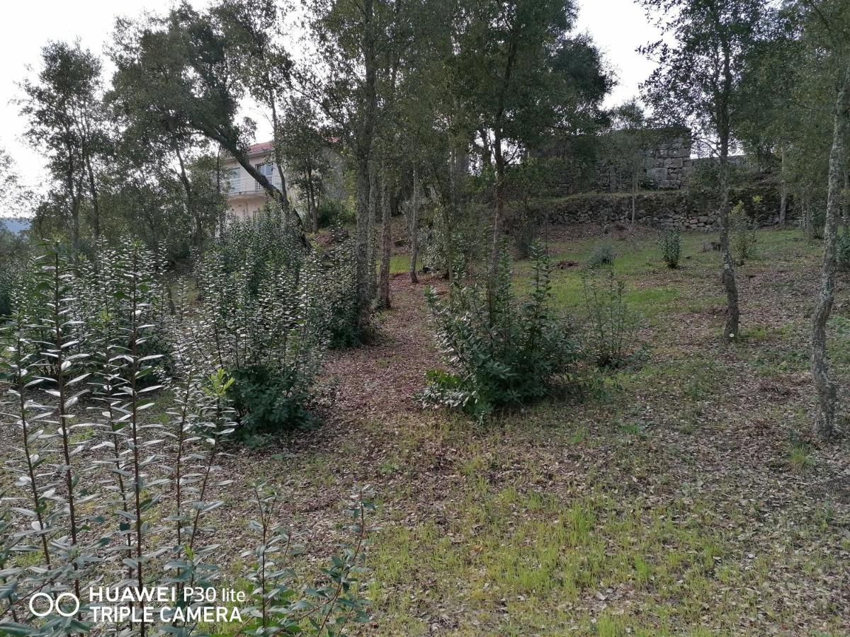 فيلا Casa Douro Terrace Baião المظهر الخارجي الصورة