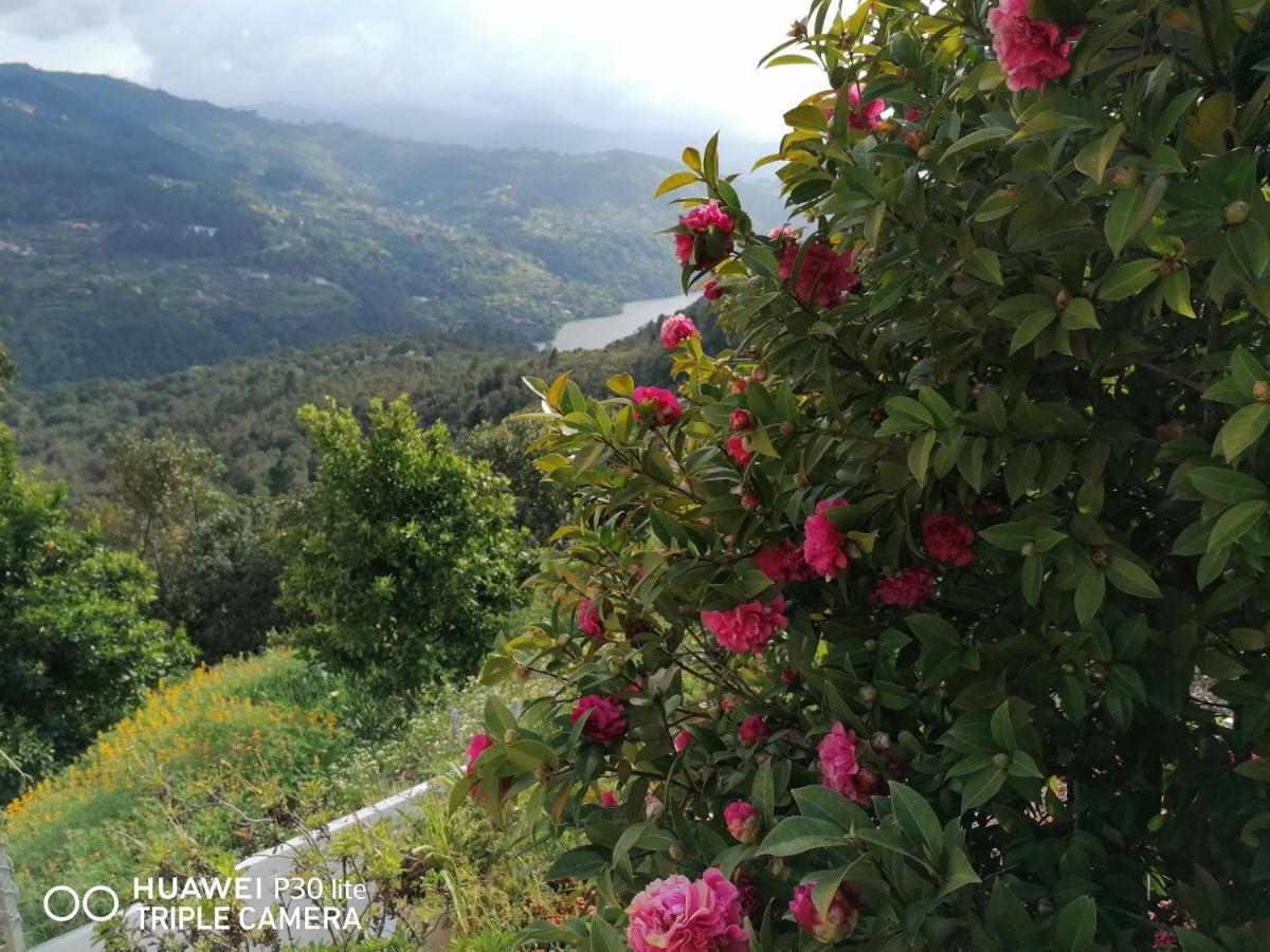فيلا Casa Douro Terrace Baião المظهر الخارجي الصورة