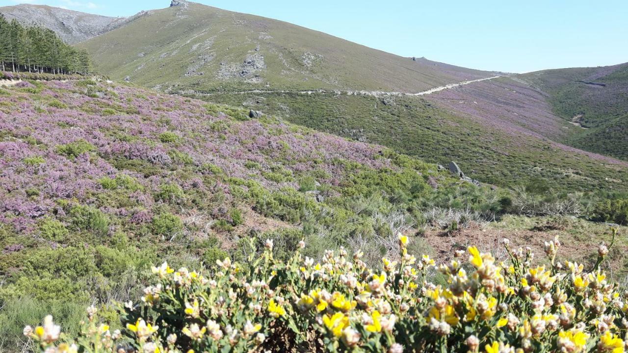 فيلا Casa Douro Terrace Baião المظهر الخارجي الصورة